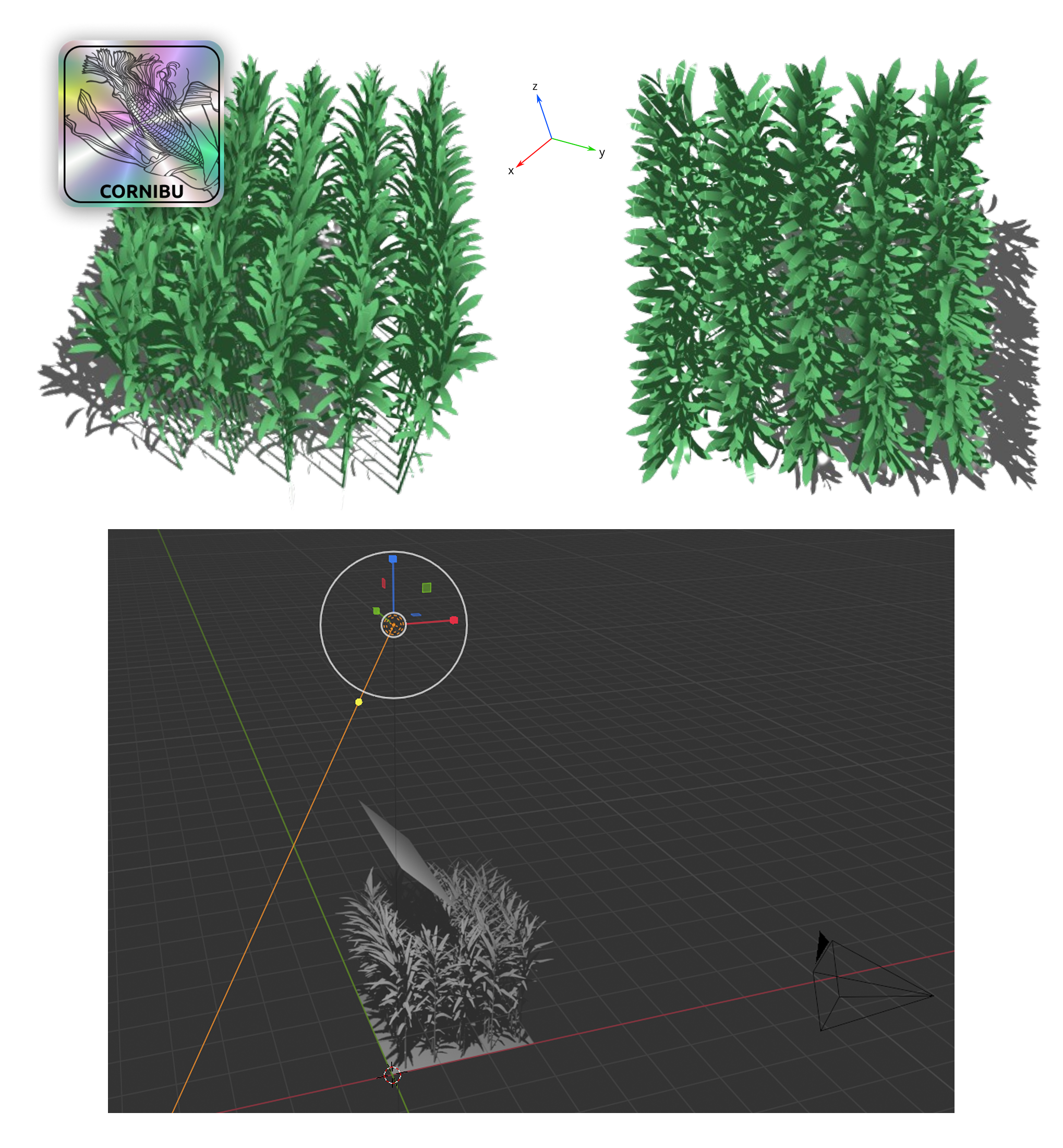 3D Crop Model